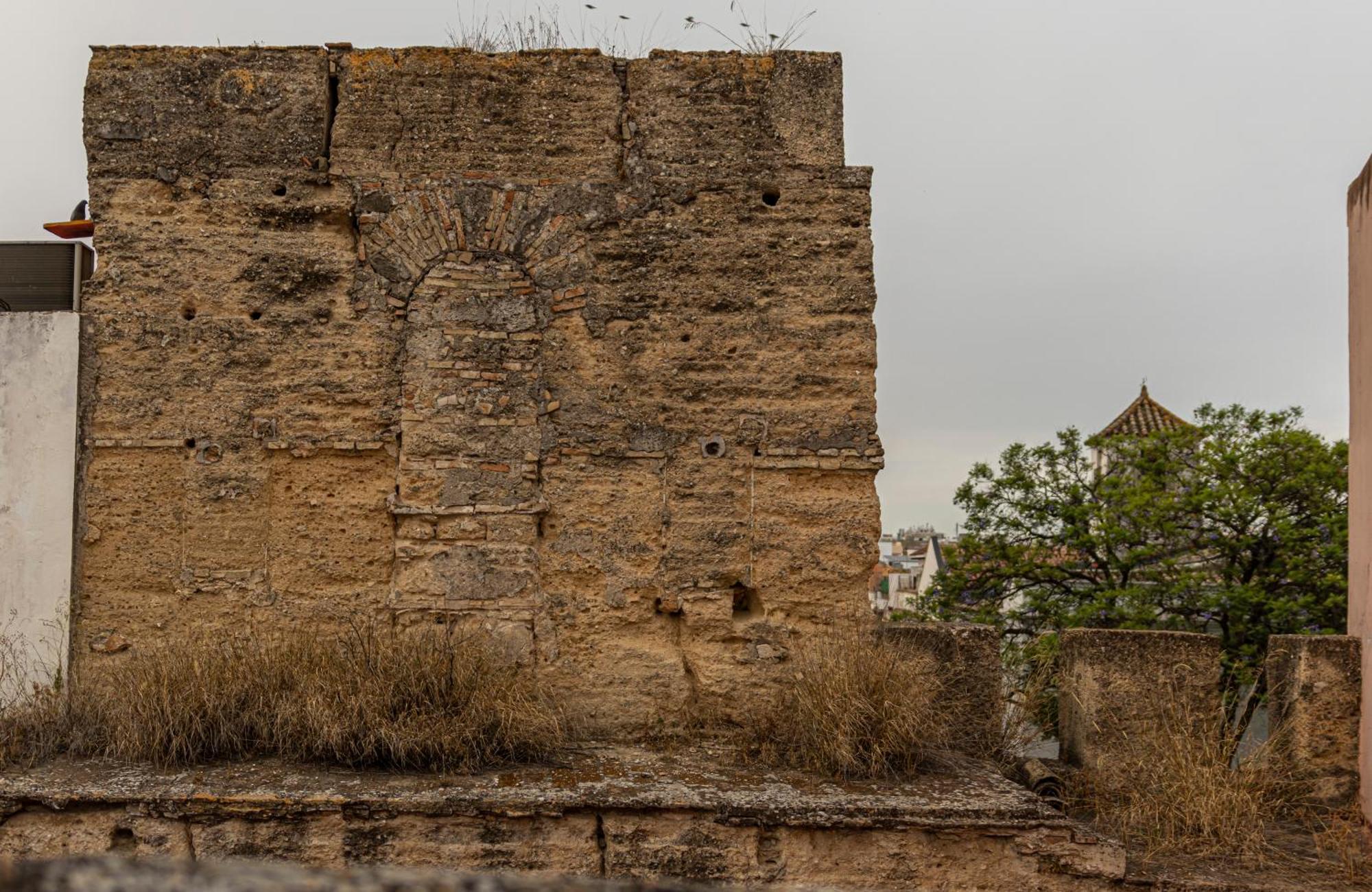 Apartmán Atico La Casa Rosa - Parking Opcional Jerez de la Frontera Exteriér fotografie