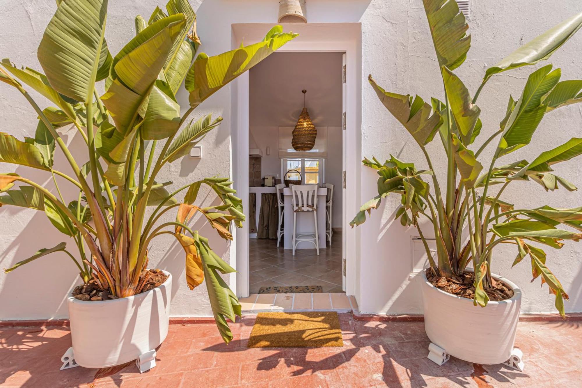 Apartmán Atico La Casa Rosa - Parking Opcional Jerez de la Frontera Exteriér fotografie